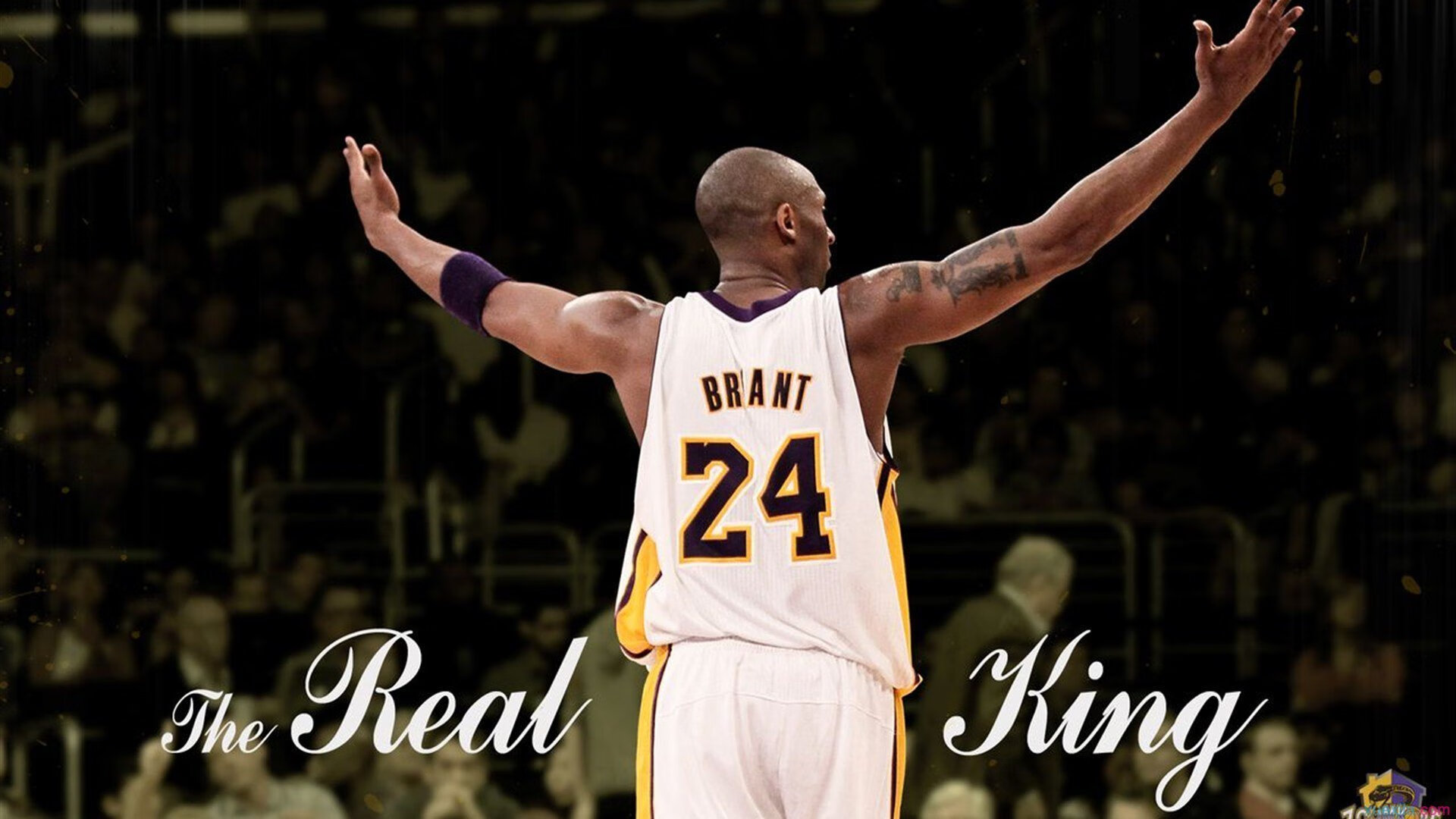 教科书般的胜利,戈麦斯如何用智慧与优雅轻取玻利维亚